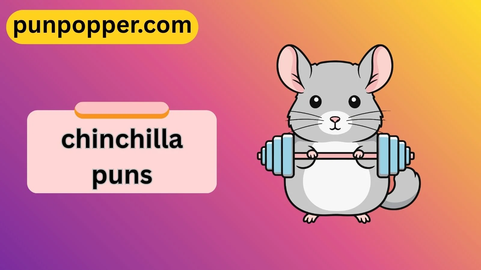 chinchilla puns