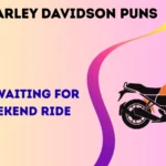 Harley Davidson puns