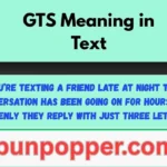 GTS Meaning in Text