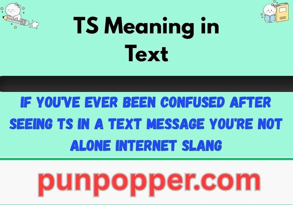 TS Meaning in Text
