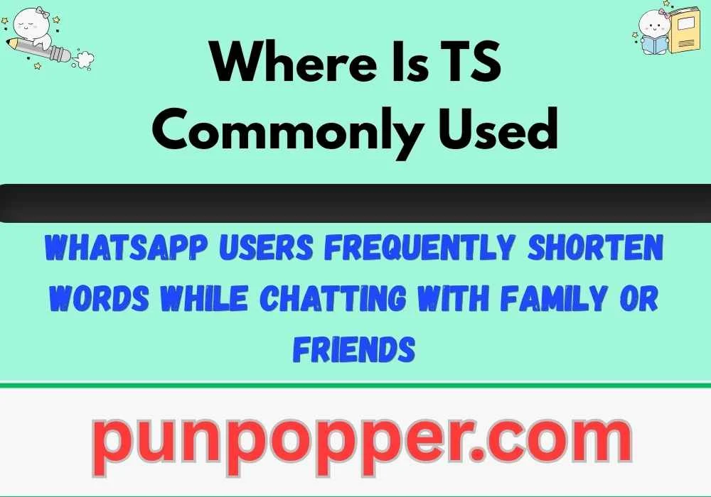 Where Is TS Commonly Used