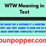 WTW Meaning in Text