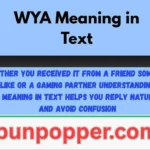 WYA Meaning in Text