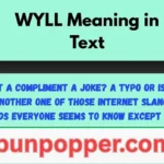 WYLL Meaning in Text